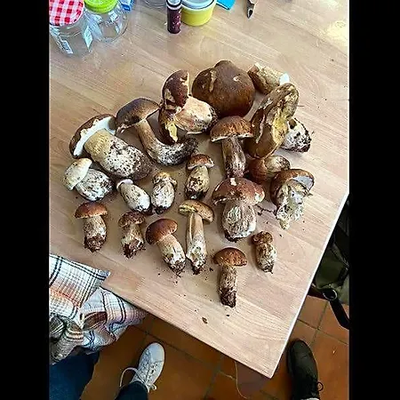D'hotes La Maison De Monsieur Chaussette Frühstückspension *